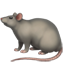 :rat: